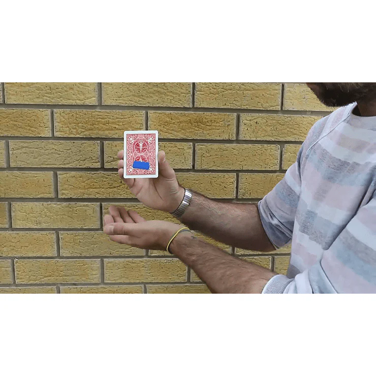 Thumbnail 3