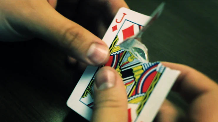Thumbnail 5