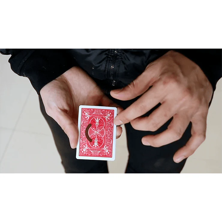 Thumbnail 5