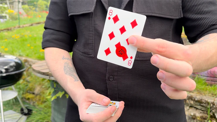 Thumbnail 3