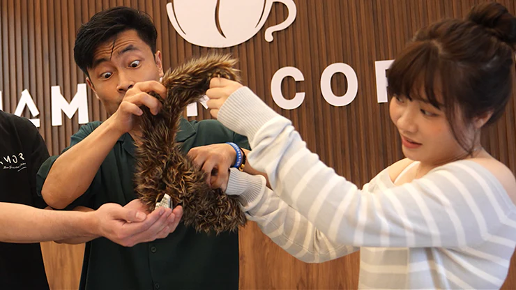 Thumbnail 3
